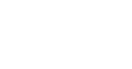 Логотип БФТ