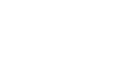 Логотип БФТ